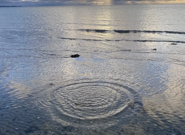Ledercoaching for nye ledere, mellemledere og ledere af ledere